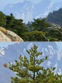 華山爬山攻略 | 在刀脊上觸摸蒼穹的修行手冊