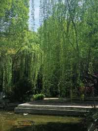 湘林溫德姆｜邵陽親子必住的獨一無二園林酒店