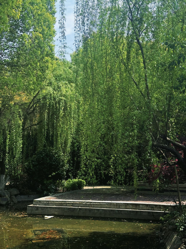 湘林溫德姆｜邵陽親子必住的獨一無二園林酒店