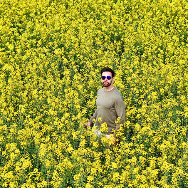 Endless Yellow Blossoms in a Waterway Labyrinth 