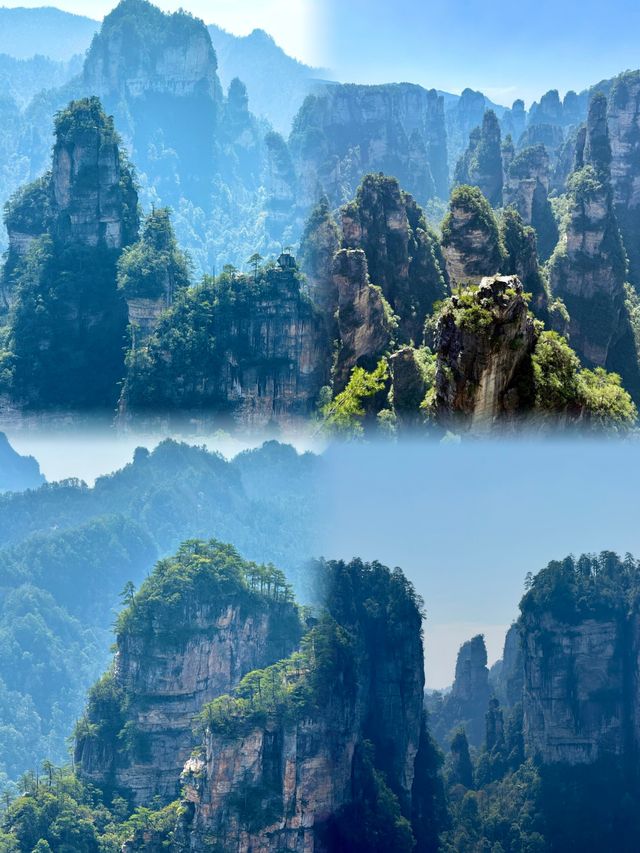 張家界。一個去了還想去的地方