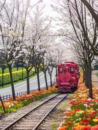 四月限定的春日列車已到站！