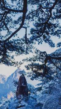 黃山：一場鐫刻在靈魂深處的綺夢之旅