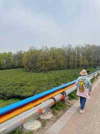 虞山輕鬆拿下！附雄鷹線和親子環線路線攻略