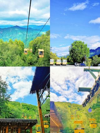 《もし癒しに色があるなら、それは間違いなくこの緑色！》