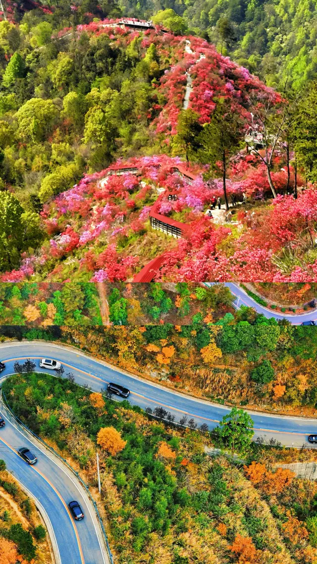 Zero-complaint slow-paced city, recommended for May Day travel