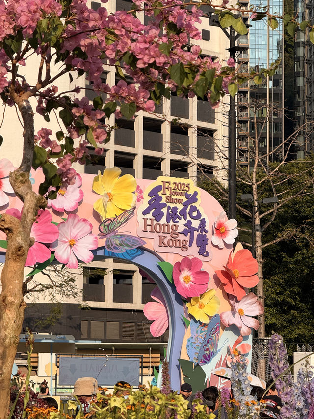 🌻風光攝影｜2025維港公園花開進行時