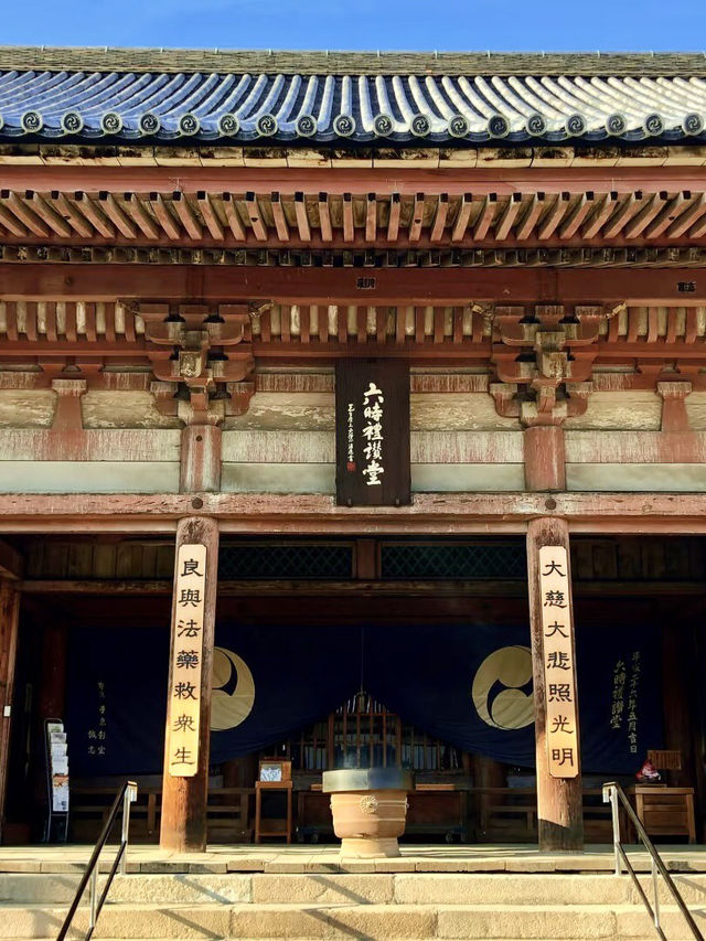 公園中的寧靜與大自然的和諧
