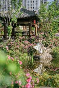 總要嚟一次西昌睇藍花楹喇附2天1夜攻略
