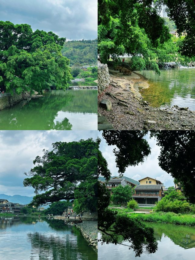 福建漳州| 小眾寶藏旅行地全攻略 唔兜路