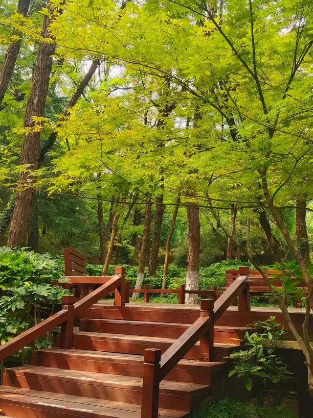 淮北旅遊必備攻略（超全）