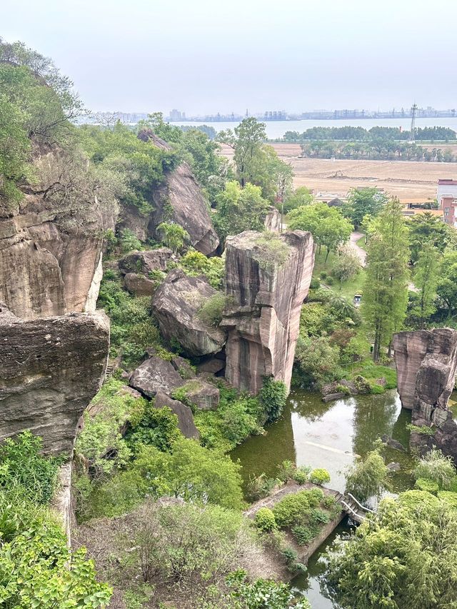 五一去番禺蓮花山睇花海真係超級靚🪷