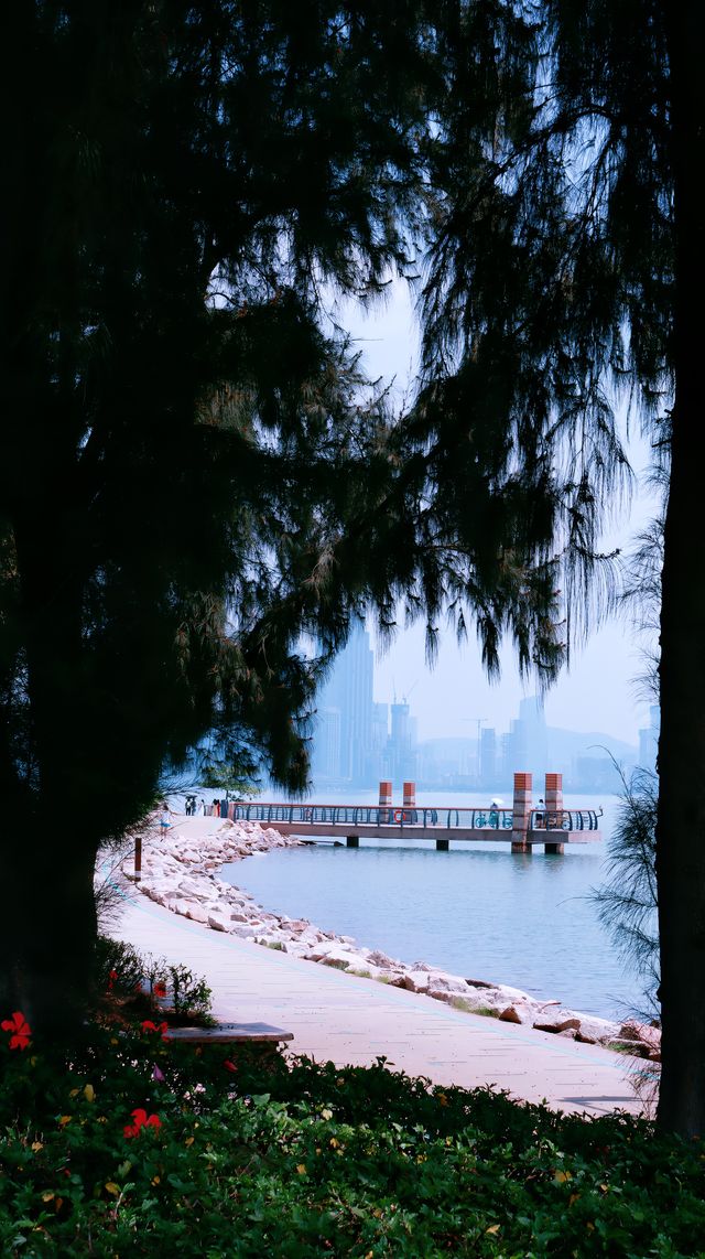 深圳灣公園單車遊