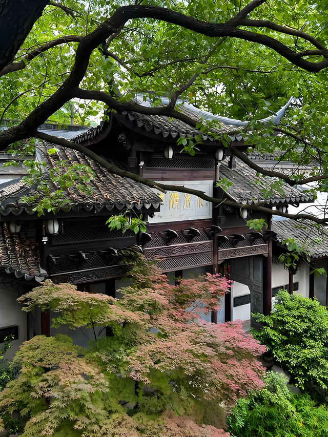 比起西湖，我更愛呢條老杭州city walk