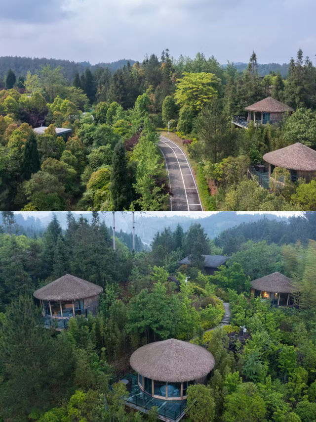 貴陽周邊！住進會呼吸嘅森林木屋！