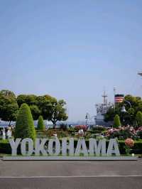 東京山下海濱公園交通攻略：探索海濱美景的便捷指南