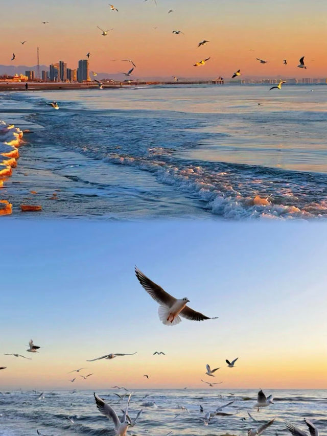 秦皇島，一座美麗嘅避暑城市