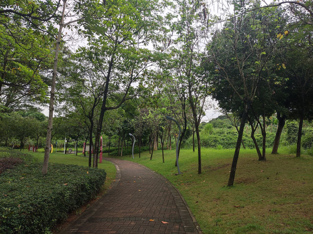 深圳時光，蔚徕酒店的精緻邂逅