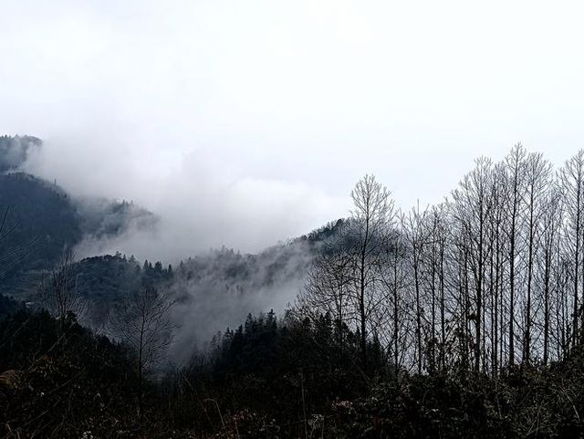 鶴峰四日遊攻略
