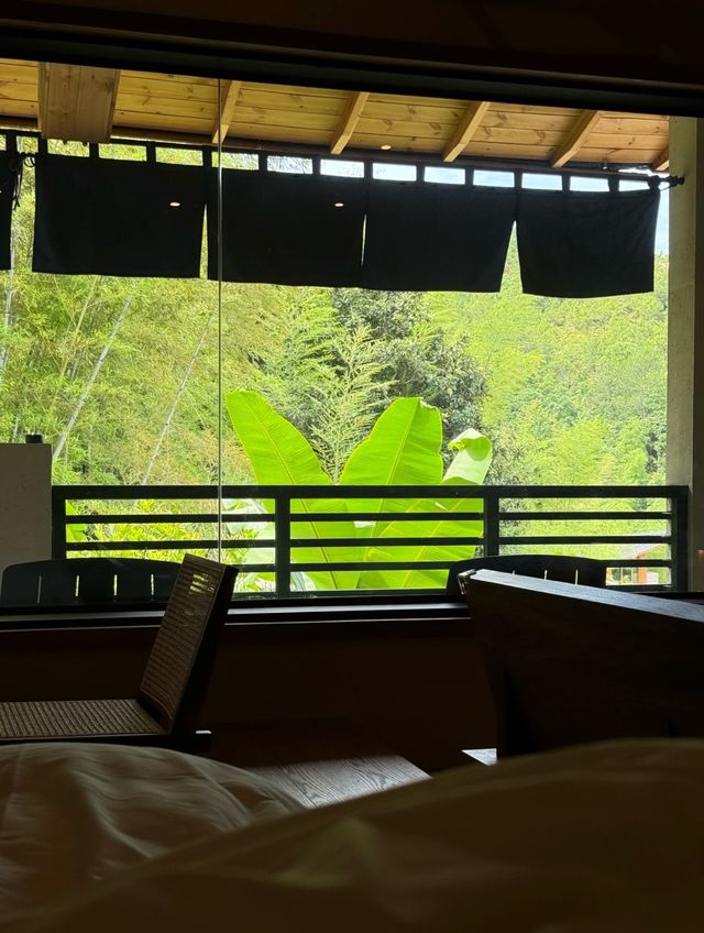 深圳後花園~一直好想斷捨離咁住喺山入面！
