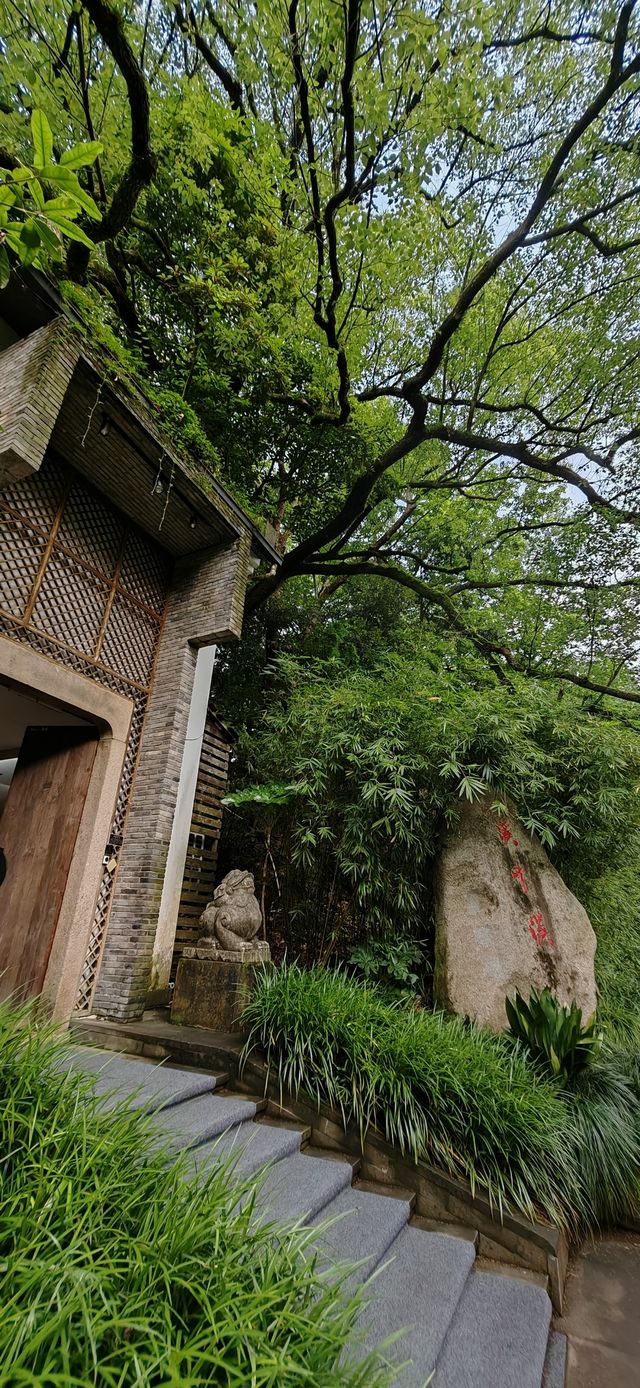 【住喺風景入面】九溪煙樹溪中溪：隱匿山林、最適合森林間徒步～