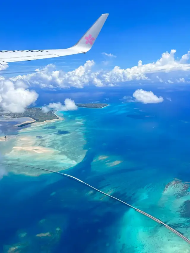 No need to fly to the Maldives! Okinawa's jelly-like sea summer treasure route