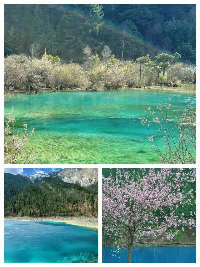 衝入九寨溝！被大自然按頭安利嘅神仙地