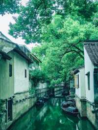 初夏六月，喺紹興遇見咗真正嘅江南