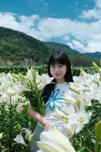 福州限定浪漫！呢片高過人嘅百合花海藏唔住啦～
