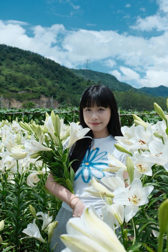 福州限定浪漫！呢片高過人嘅百合花海藏唔住啦～