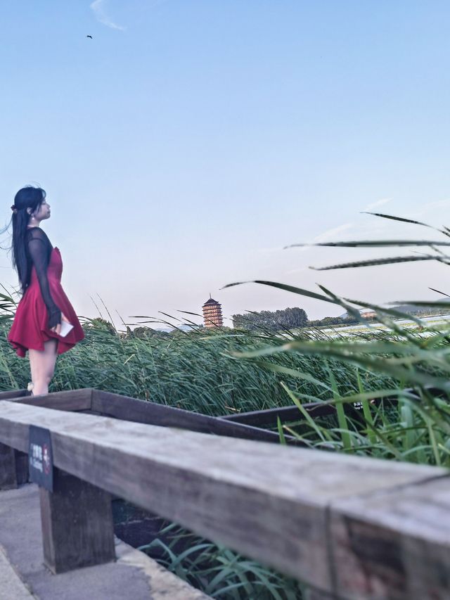 溜娃好去處年度避暑度假村推薦