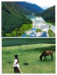 逃離城市計劃！雪山草原星空全包攬