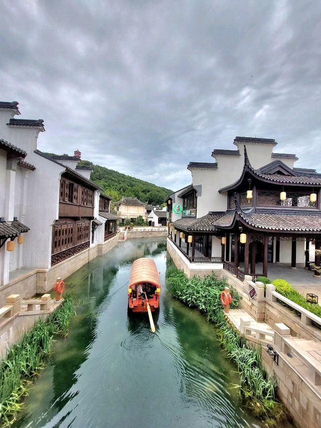 🌳《一棵金樹與一場柔軟的邂逅──我的惠山古鎮漫行記》