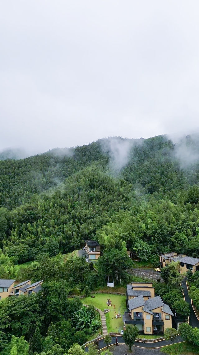 森林酒店！這樣的婚禮場地真係太高級啦！