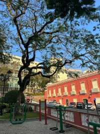 香港出發至澳門加思欄花園交通攻略 