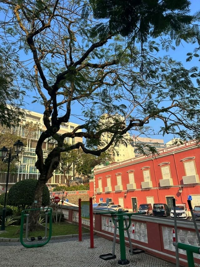 香港出發至澳門加思欄花園交通攻略 