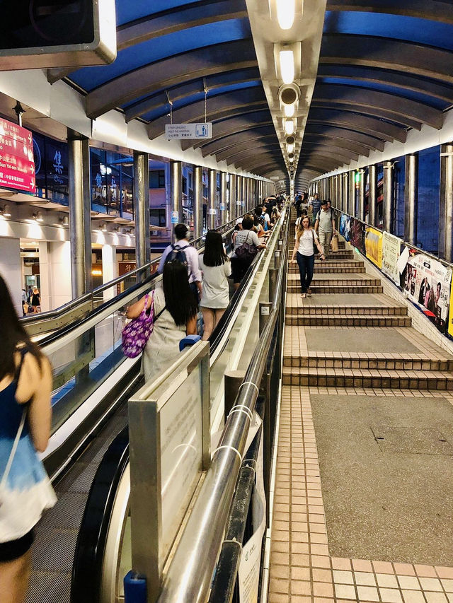 10 Cool and Quirky Things to Do in Hong Kong! ✴️🗺
