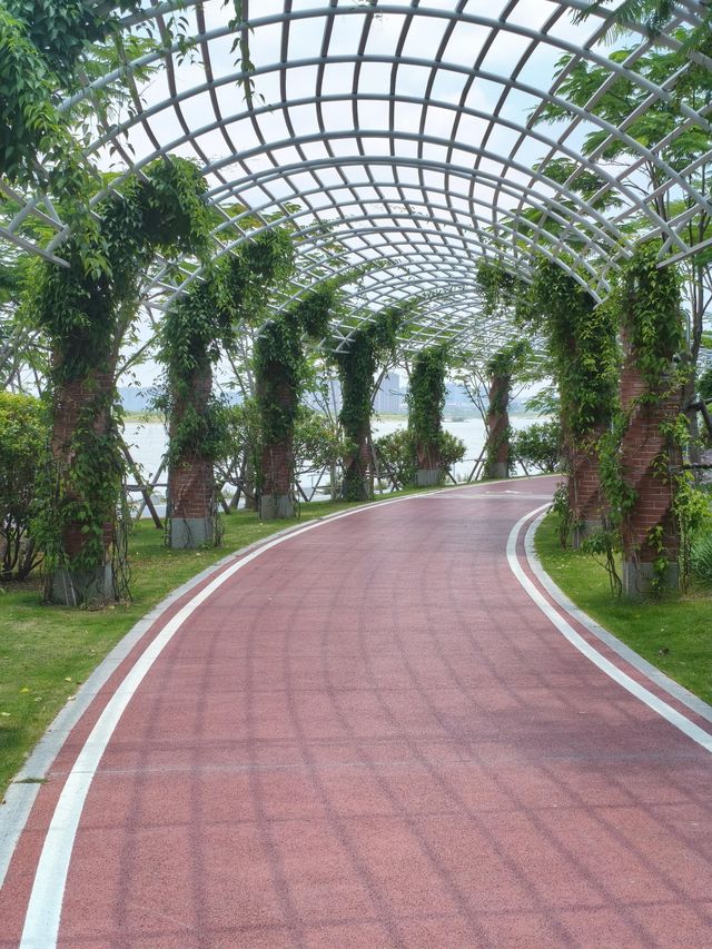 廈門海滄｜我喺呢度露營，你呢？