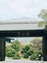 香港の心霊的なオアシス：慈山寺体験記】** 