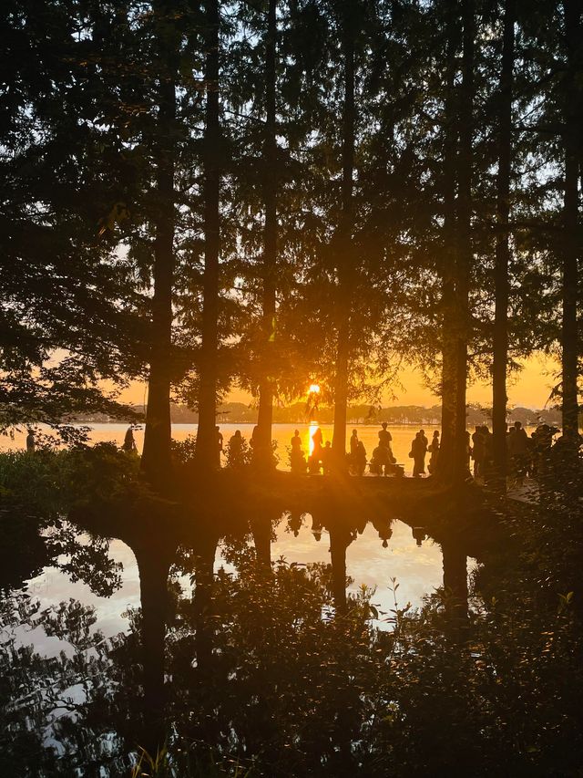 杭州西湖朝霞日出