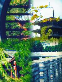 湖北荊門｜2日1夜自駕遊，攻略嚟啦