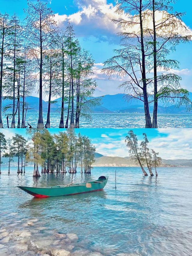 奔赴風花雪月洱海超全遊玩攻略