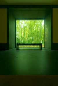 3日親歷5項非遺體驗，穿梭千年