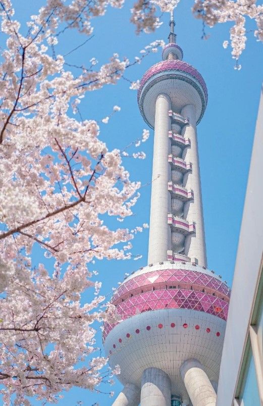 上海浦東漫遊：東方明珠 × 美術館指南