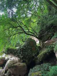 成都天台山｜川西秘境｜避暑玩水天花板！