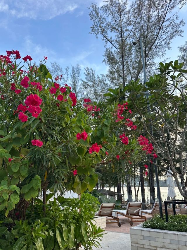 普吉島洲際度假酒店：奢華海濱的完美假期