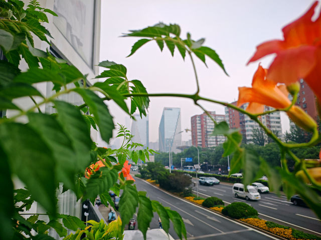 能吃、能睡、能賞景，這間酒店你還未發現？