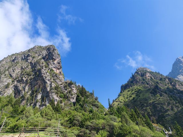 行程標題