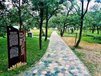 Beijing’s Best Camping Locations: A Guide to Nature Escapes