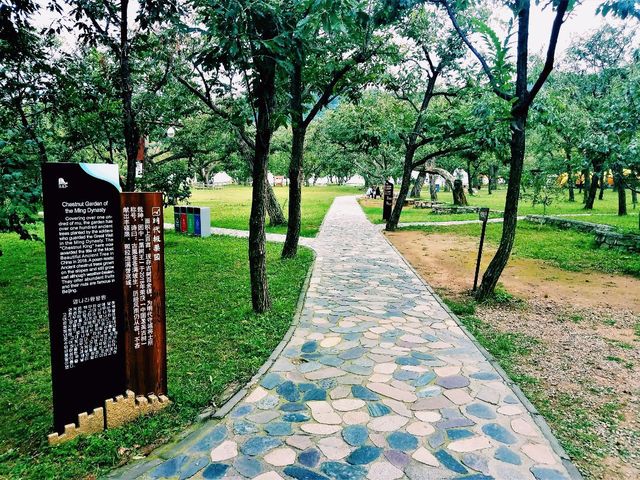 Beijing’s Best Camping Locations: A Guide to Nature Escapes